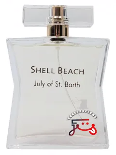 شل بیچ جولای سن بارتلمی | shell beach july st barthelemy